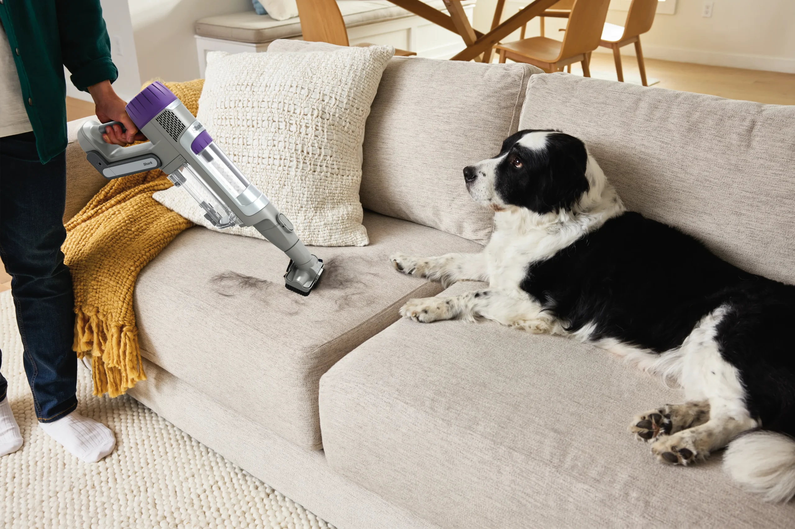 DAT-R_IP1251_UKTEUTMET_InUse_LivingRoom_AboveFloor_PetMultiTool_Man_Dog (1)
